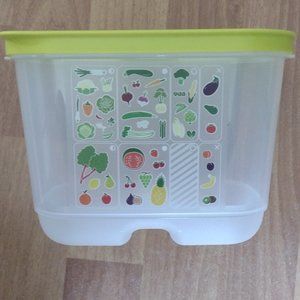 Tupperware Small Deep FridgeSmart